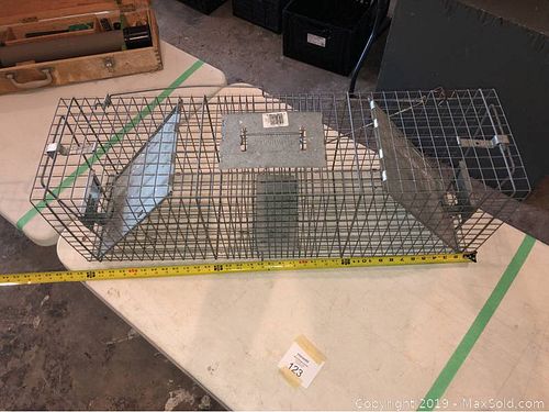 Lot #0123 (1 of 6)