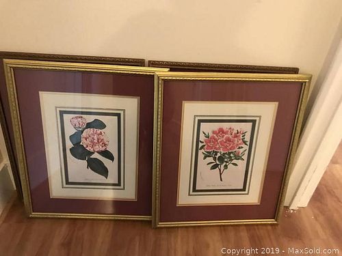 Lot #0854 (1 of 11)