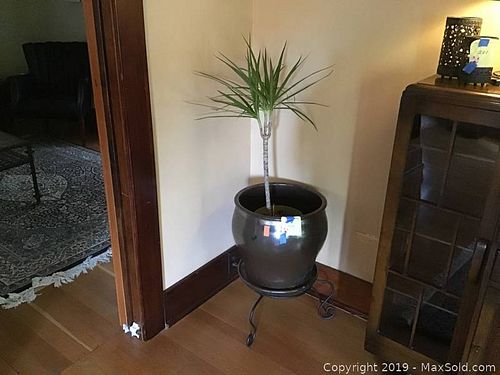 Lot #0202 (1 of 3)