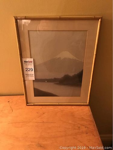 Lot #0229 (1 of 6)