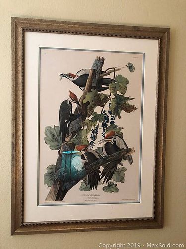 Lot #0120 (1 of 7)