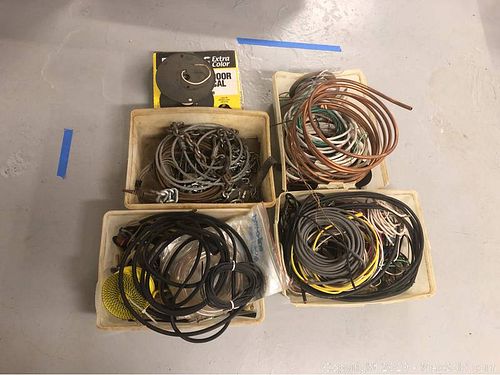 Lot #0556 (1 of 12)