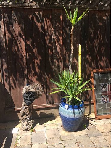 Lot #0081 (1 of 15)