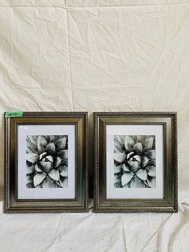 Lot #0044 (1 of 1)