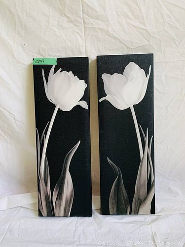 Lot #0047 (1 of 1)
