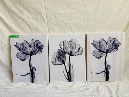 Lot #0052 (1 of 1)