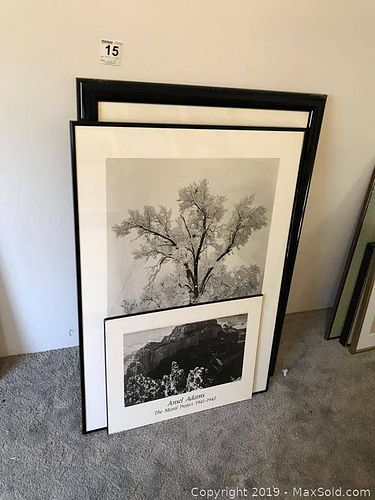 Lot #0015 (1 of 6)