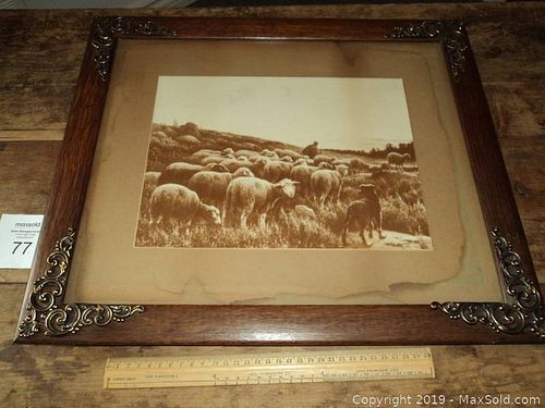 Lot #0077 (1 of 8)