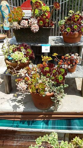 Lot #0040 (1 of 6)