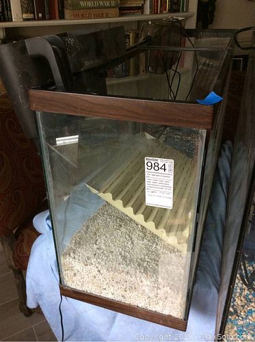 Lot #0984 (1 of 13)