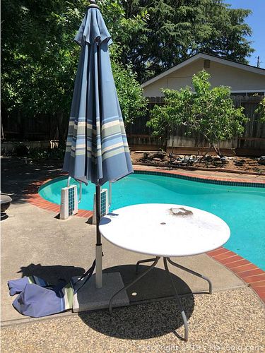 Lot #0897 (1 of 7)