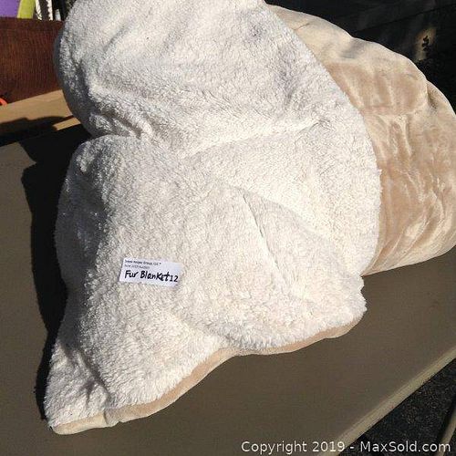 Lot #0010 (1 of 2)