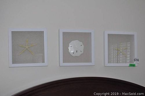 Lot #0916 (1 of 6)