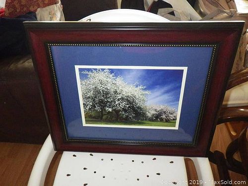 Lot #0343 (1 of 6)