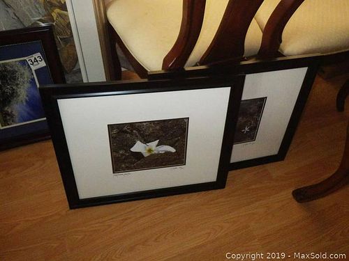 Lot #0344 (1 of 11)