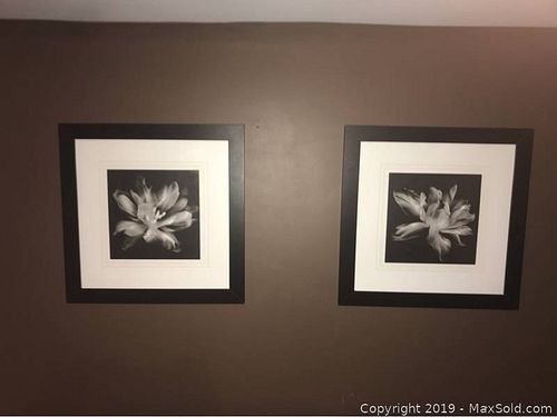 Lot #0024 (1 of 3)