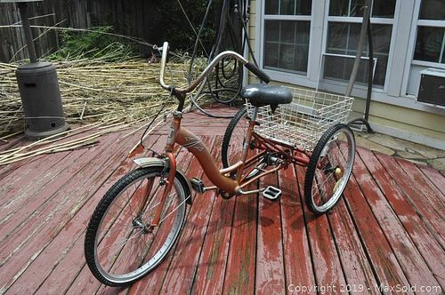 Lot #0789 (1 of 6)