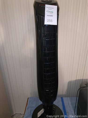 Lot #0255 (1 of 3)