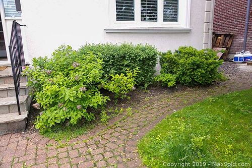 Lot #0592 (1 of 7)