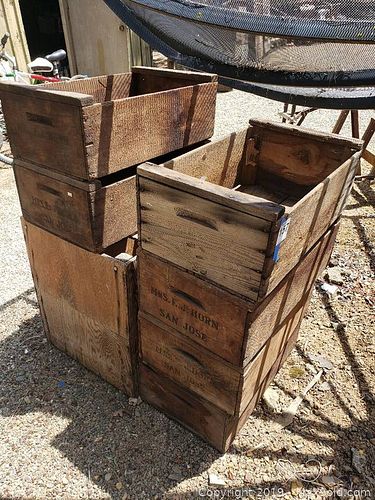 Lot #0157 (1 of 5)