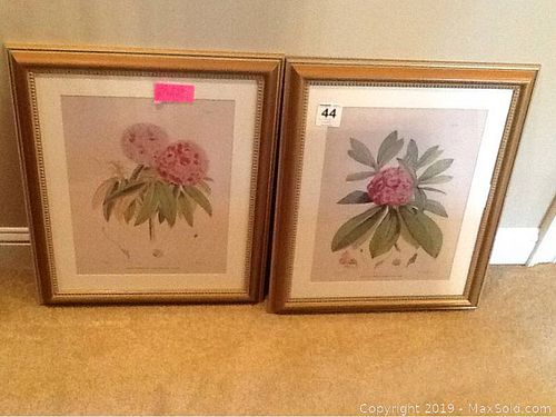 Lot #0044 (1 of 10)