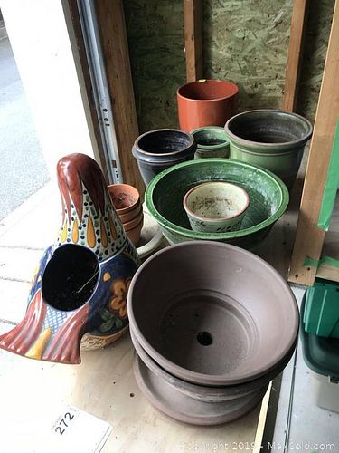 Lot #0272 (1 of 12)