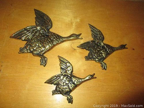Lot #0019 (1 of 5)
