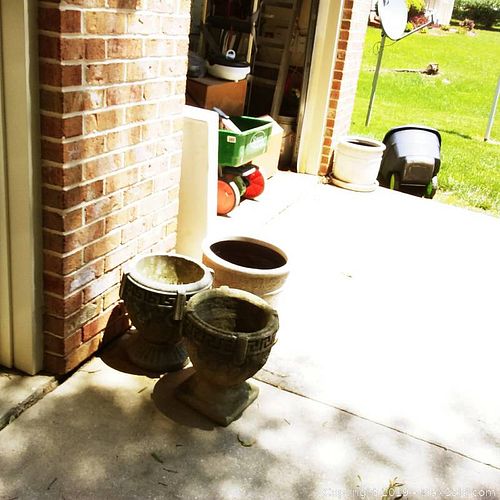 Lot #0923 (1 of 8)