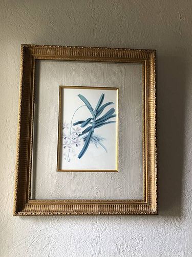 Lot #0010 (1 of 1)