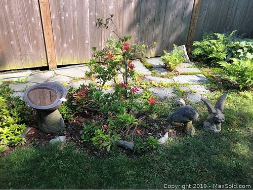 Lot #0580 (1 of 17)
