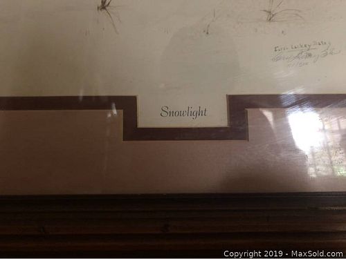 Lot #0062 (1 of 1)