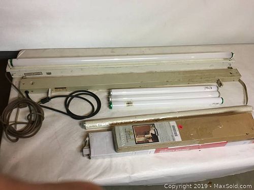Lot #0017 (1 of 2)