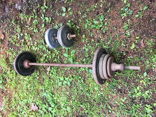 Lot #0050 (1 of 3)