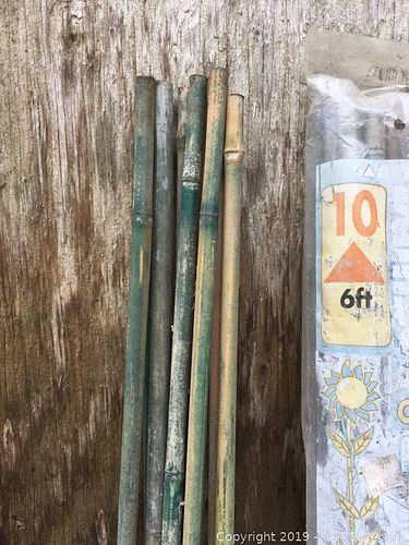 Lot #0062 (1 of 7)