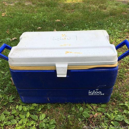 Lot #0065 (1 of 10)