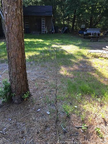 Lot #0069 (1 of 3)