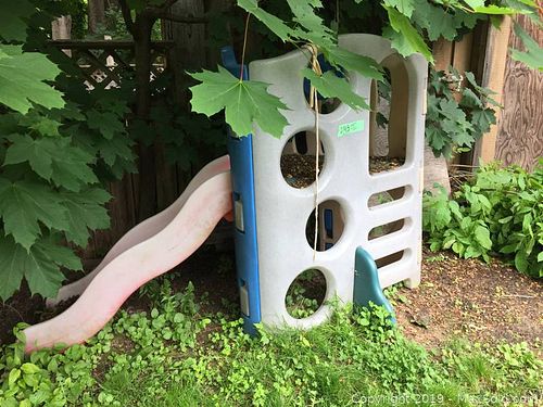 Lot #0243 (1 of 12)