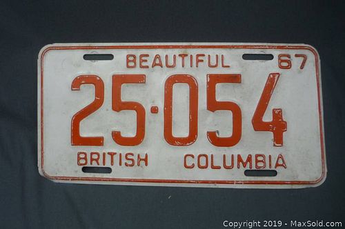 Lot #0133 (1 of 2)