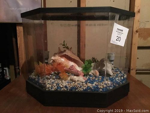 Lot #0020 (1 of 4)