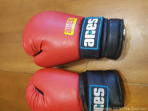 Lot #0087 (1 of 5)