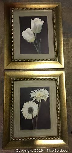 Lot #0062 (1 of 7)