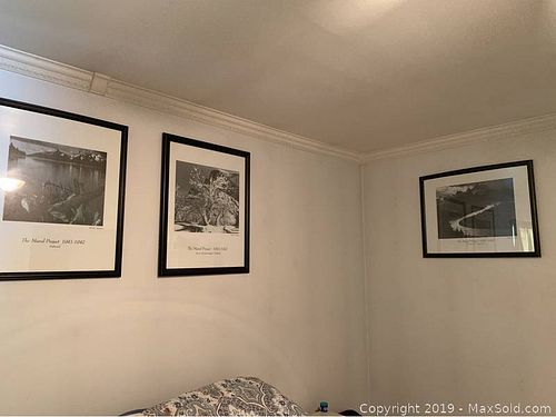 Lot #0867 (1 of 10)