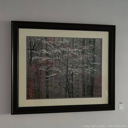 Lot #0543 (1 of 7)