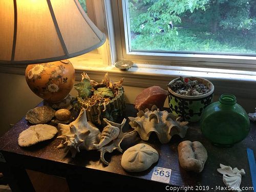 Lot #0563 (1 of 12)