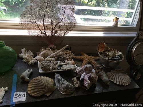 Lot #0564 (1 of 8)