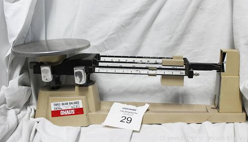 Lot #0029 (1 of 1)