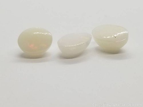 Lot #0741 (1 of 7)