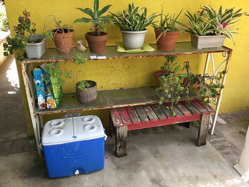 Lot #0100 (1 of 8)