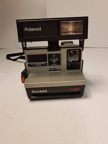 Lot #0143 (1 of 5)