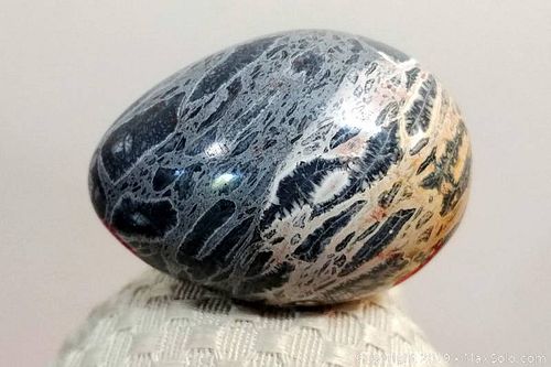Lot #0184 (1 of 4)